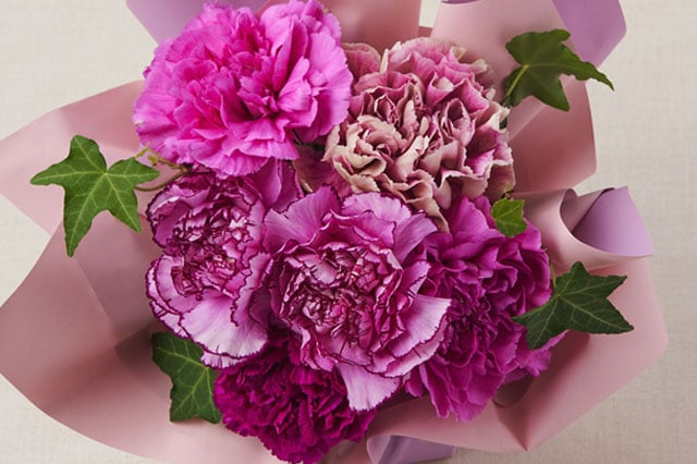 �X�^���f�B���O�u�[�P �p�[�v�� �R���e���c3