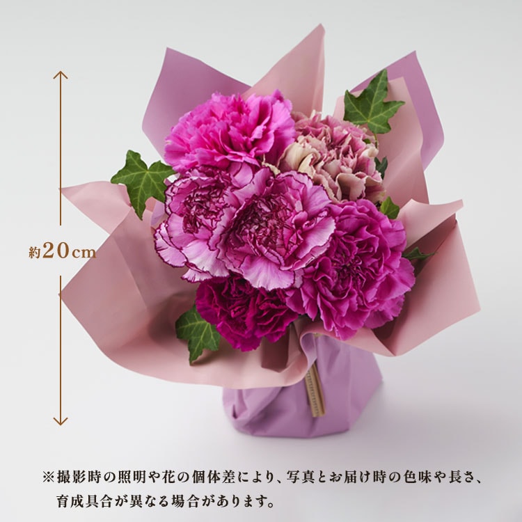 �X���C�_�[�摜2