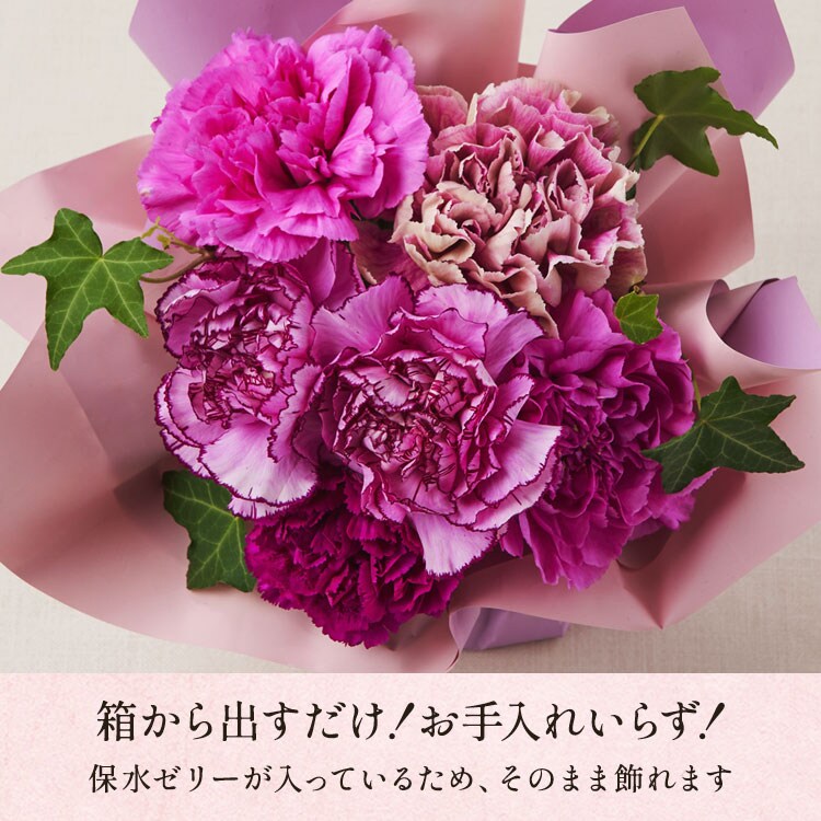 �X���C�_�[�摜4