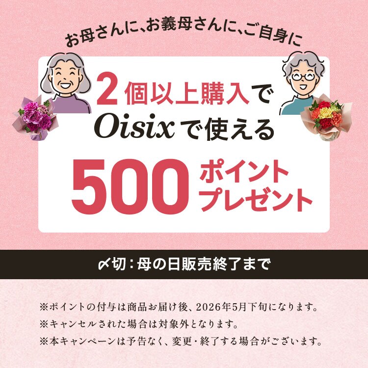 スタンディングブーケ パープル ｜ 2026年 Oisix母の日・父の日ギフト特集