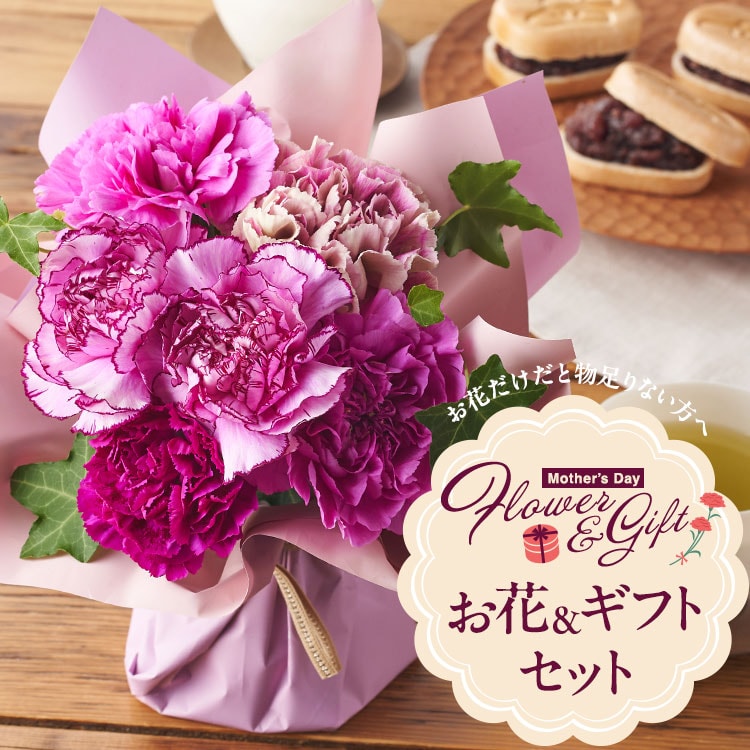 �X���C�_�[�摜1