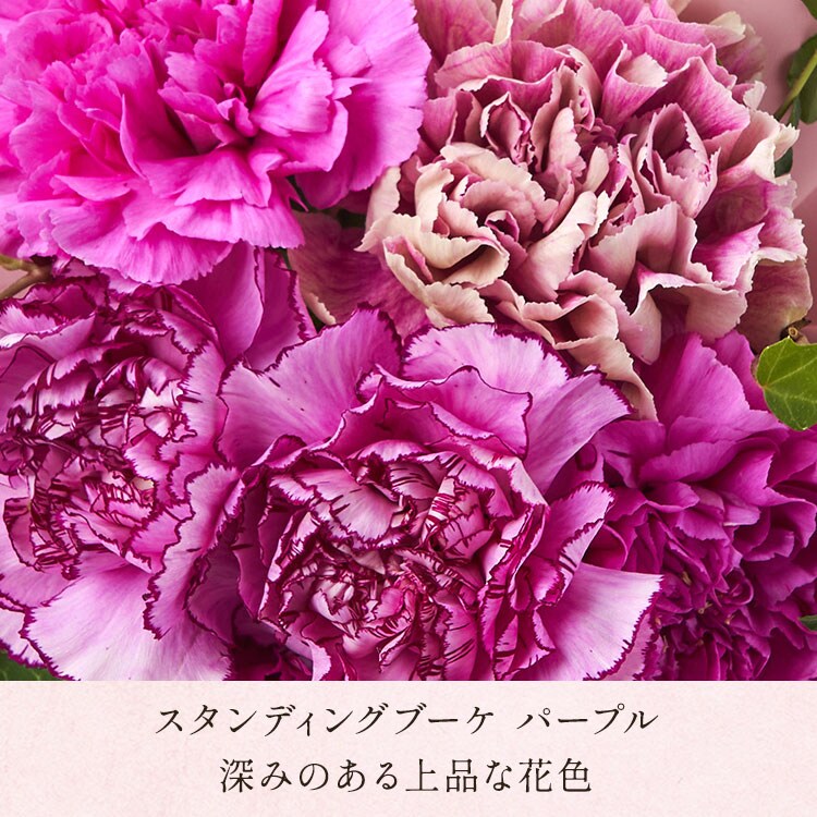 �X���C�_�[�摜7