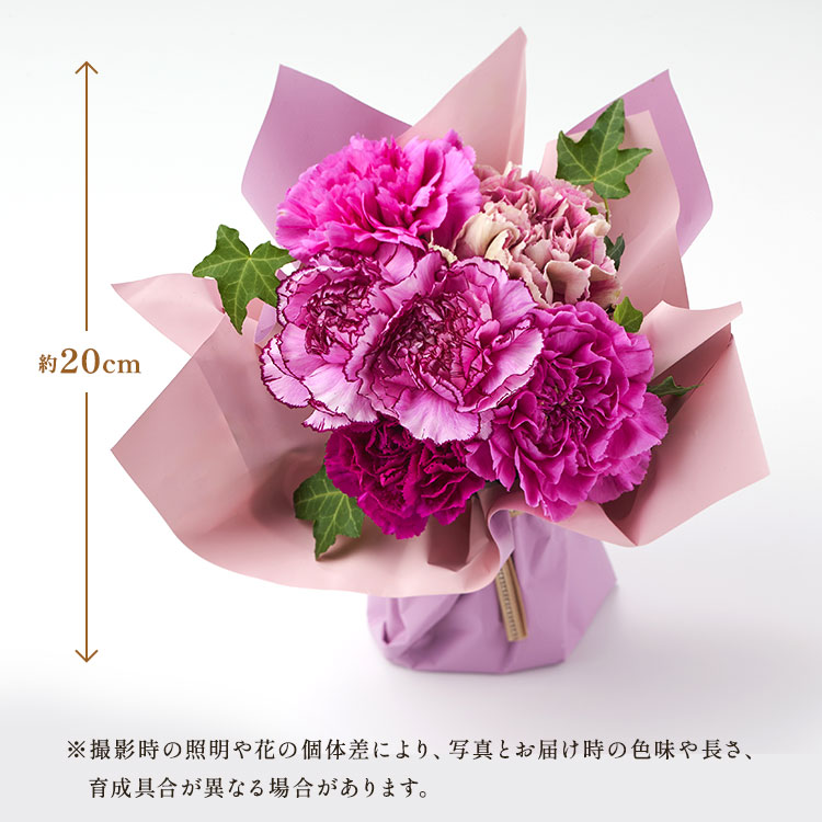 �X���C�_�[�摜8