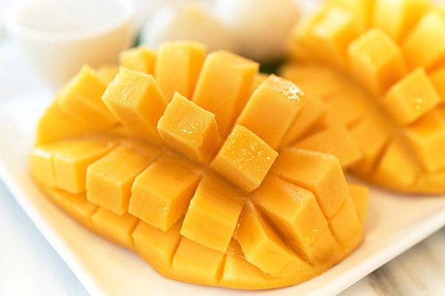 �Â��Ƃ낯�閣�f�̑�ʊÏn�}���S�[ �R���e���c2