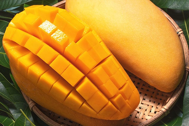 �Â��Ƃ낯�閣�f�̑�ʊÏn�}���S�[ �R���e���c3