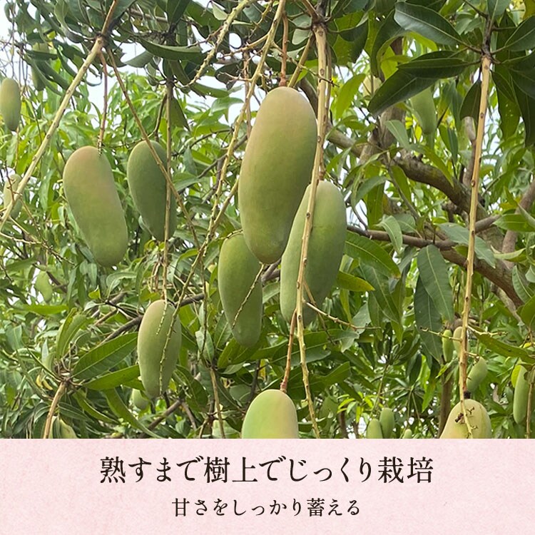 �X���C�_�[�摜3