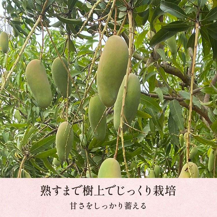 �X���C�_�[�摜3