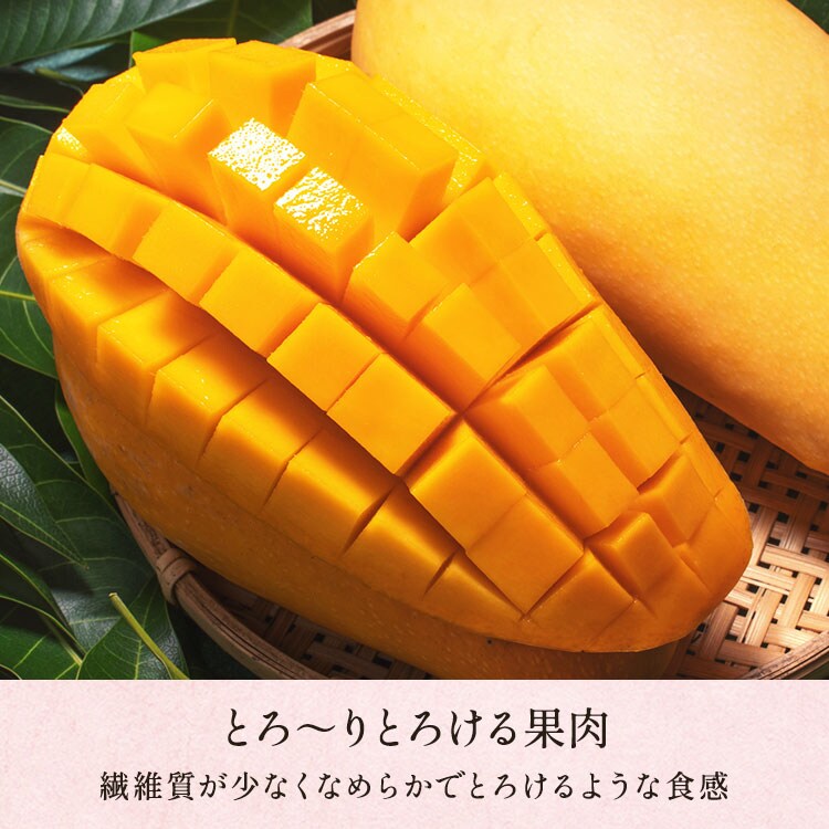 �X���C�_�[�摜4