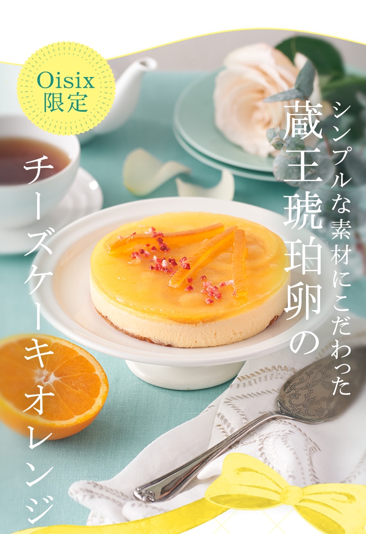 ���i�Љ�摜1