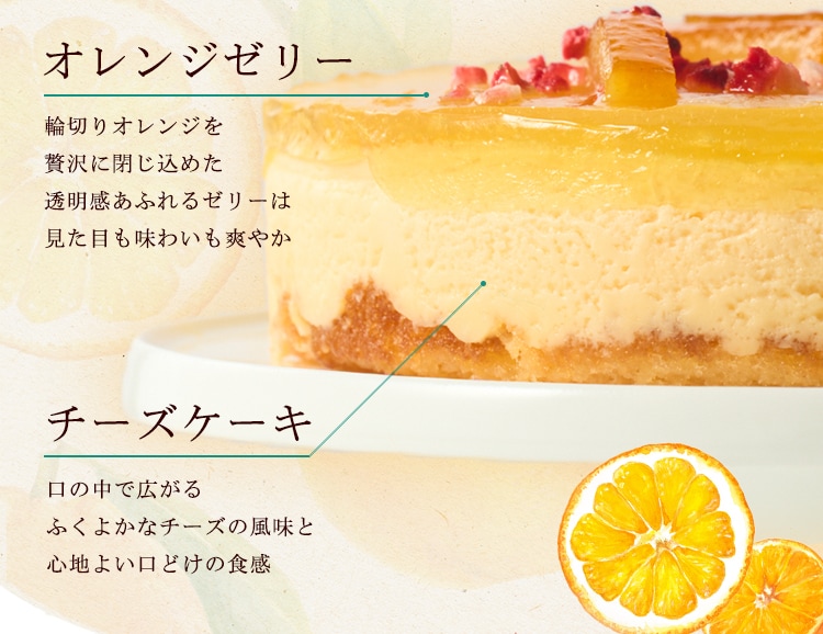 ���i�Љ�摜4