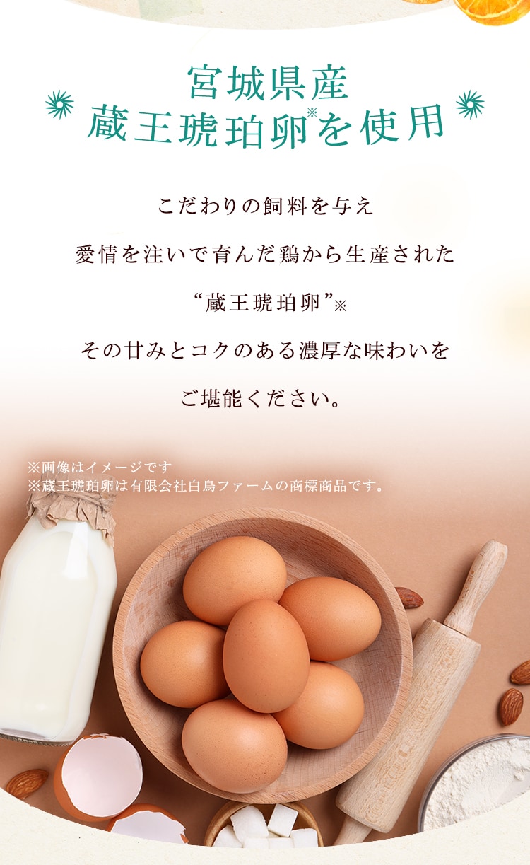 ���i�Љ�摜5