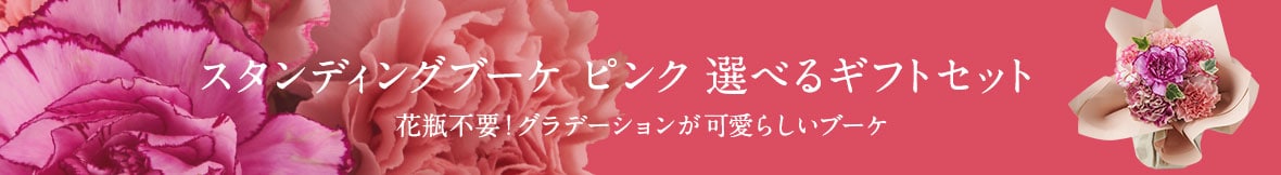 �X�^���f�B���O�u�[�P �s���N