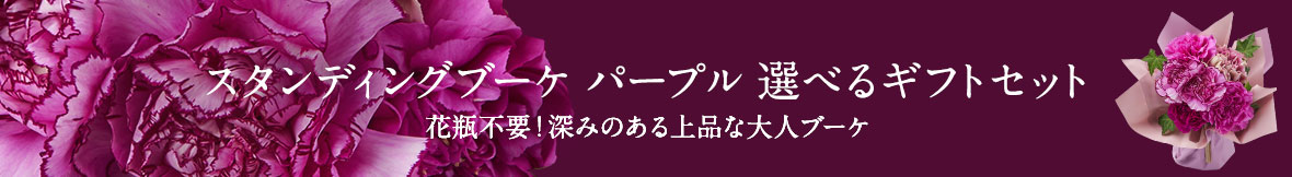 �X�^���f�B���O�u�[�P �p�[�v��