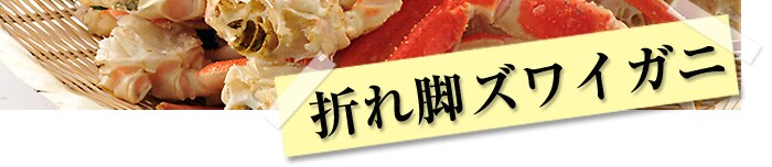 �����߂₷�������ł́A���Љ�܂���ł����B�܂�r�Y���C�K�j
