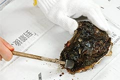 まずは金槌などで割れ目をつけてください