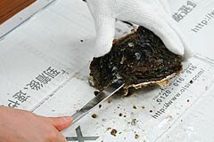 割れ目が出来たら、そこにナイフを入れて少しずつ割れ目を広げていくと、比較的簡単に殻を開くことができます