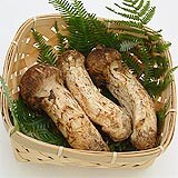 正規品松茸