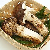 �ӂ��낢�i����