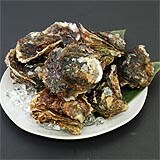 伊勢志摩浦村 岩牡蠣 約1kg