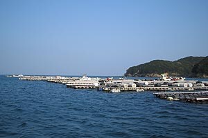 入り組んだ地形が、牡蠣の生育に最適な環境をもたらした三重県の浦村。
