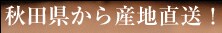 �H�c������g��낤�ǂ�l�ߍ��킹�h���Y�n�����I