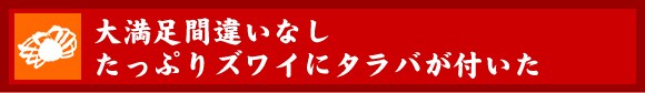 喞ԈႢȂ ՂYCɃ^ot