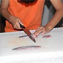 �y�{�N�ł����΂������z