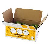 ���͂����̗l�q