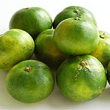 �F�ܘY����I�蕪�� �ɑ����݂���