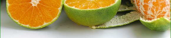 �F�{������g�F�ܘY����̋ɑ����݂���h���Y�n�����I