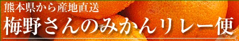 F{g~삳݂̂񃊃[ցhYnI