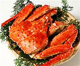 �{�C���^���o�p�i1�� 1.8kg�j