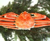 �{�C���Y���C�p�i1�� 1kg�j