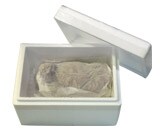 ���i�̍�����