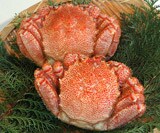 �т��Ɂi400g�~2���j