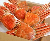 �{�C���Y���C�p �t�@�~���[���������Z�b�g(6����4kg)