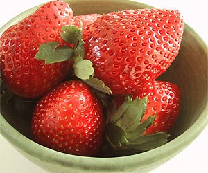 ���񂲏Љ��̂́A�u���������v�Ɓu���S�v�ɂ���������������A�g�Ƃ����Ƃ߁h�ł��B