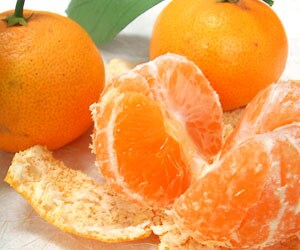 葉付きでまた完熟の小玉サイズのみをお届けいたしますので、甘みと適度な酸味もあり濃厚で引き締まった味がします。