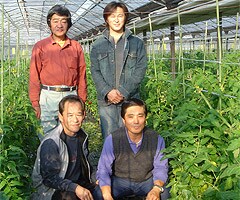 いつもおいしいトマトを届けてくれる槌谷さんたち。写真右下が槌谷さん。