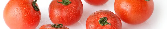 トマトをもっと好きになってしまう・・・そんなトマトを紹介したい！
