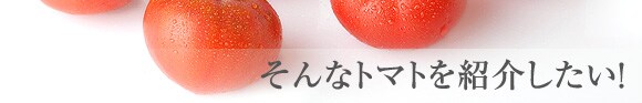 トマトをもっと好きになってしまう・・・そんなトマトを紹介したい！