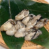伊勢志摩浦村牡蠣 剥き身