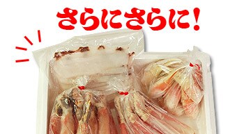 vbv̎܂ȂԕtI