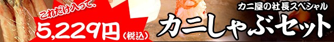 ꂾāAō5,229~ Jj̎ВXyV JjԃZbg