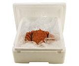 ���i�̍�����