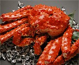 ���ԃ^���o�I�Ɏ|�l��œ��}�ցi1���p�j