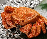 ���ԖуK�j�I�Ɏ|�l��œ��}�ցi2���j