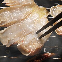 �Ă����ɃZ�b�g