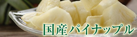 沖縄県から“国産ピーチパイン”を産地直送！