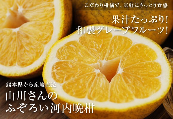 F{R삳̂ӂ낢͓ӊYnI
